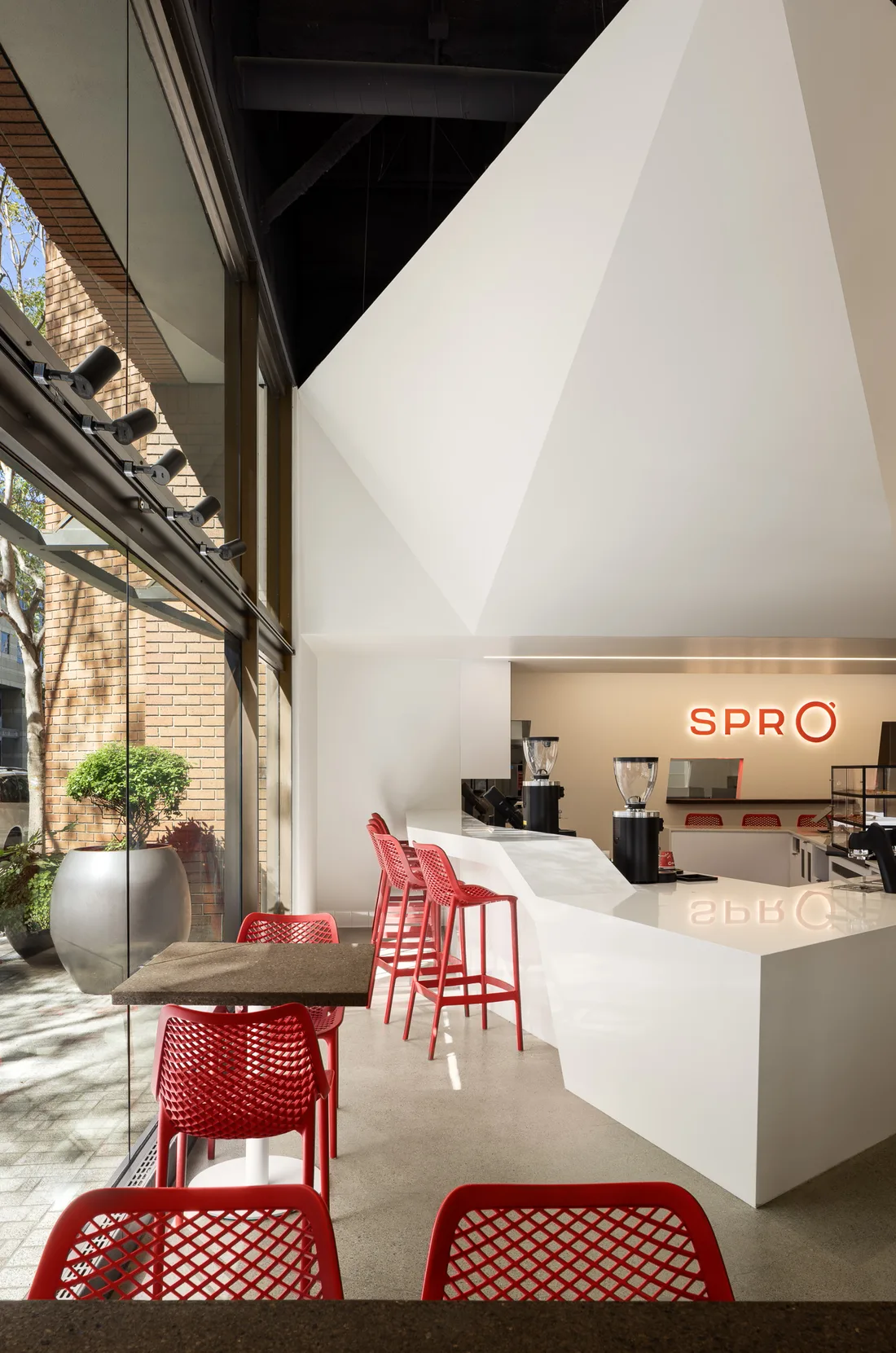 Vertical view of the counter and ceiling geometry at Spro Coffee Lab